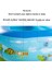Şişme Yüzme Yüzüğü 1.2m Iki Katman Havuzu 3