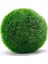 Mesmerizing Shopp Mesmerizingshopp Marimo Mossball Şans Getiren Yosun Topu 4 - 5 cm 2