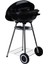 Çok Renkli Barbekü C80901020 1