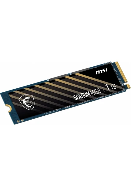 Spatium M450 1TB NVMe M.2 3600-3000MB SSD