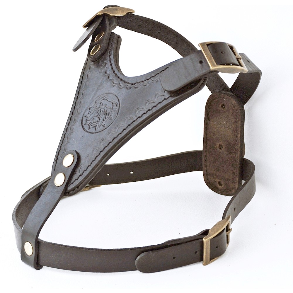 Ac Leather Köpek Tasmaları ve Fiyatları