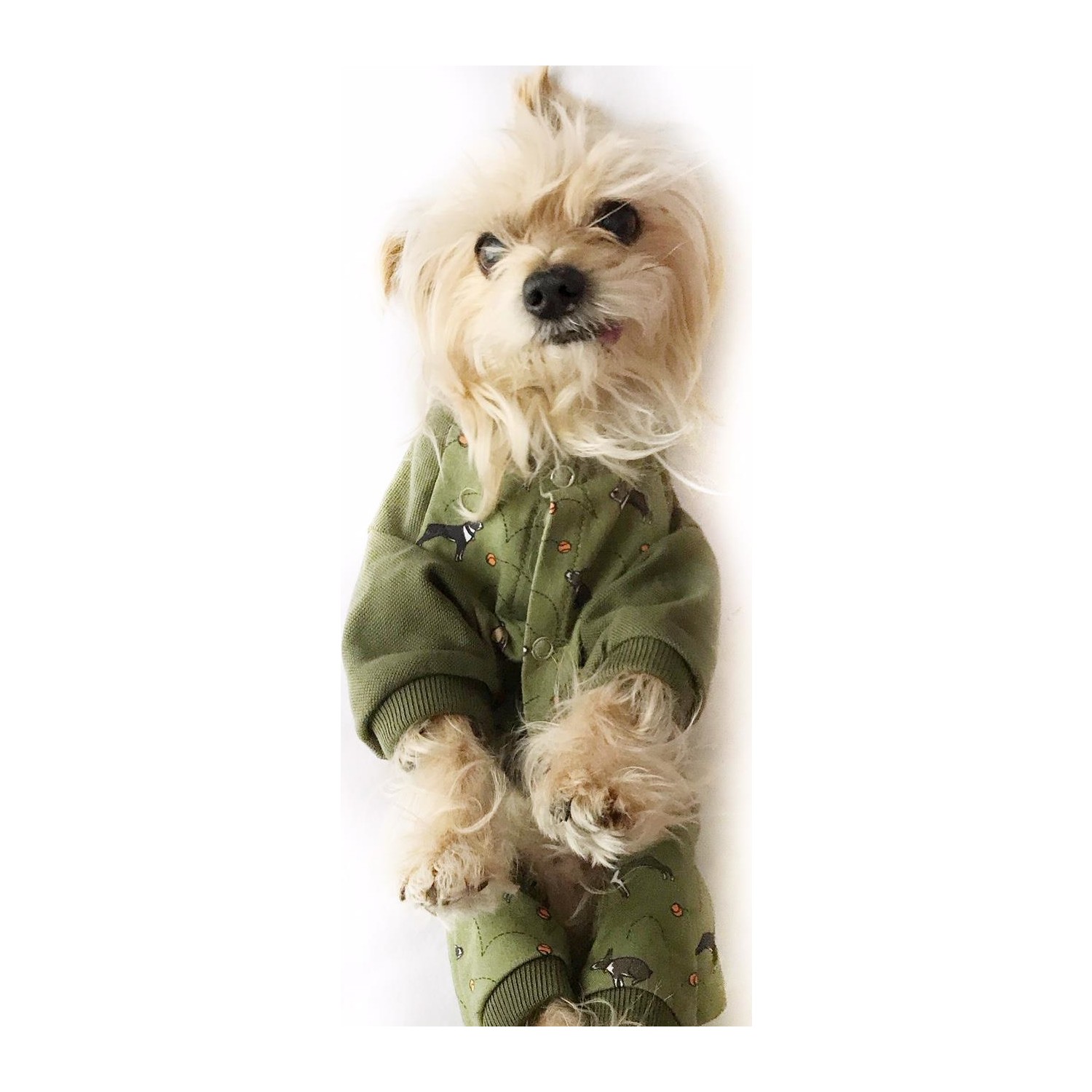 köpek tulumu