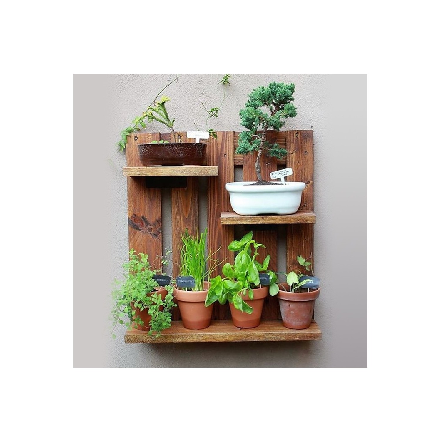 Woodesk Masif Ağaç Meşe Rengi 50 x 40 cm Duvar Saksı Rafı Fiyatı Woodesk Masif Ağaç Meşe Rengi 50 x 40 cm Duvar Saksı Rafı Fiyatı