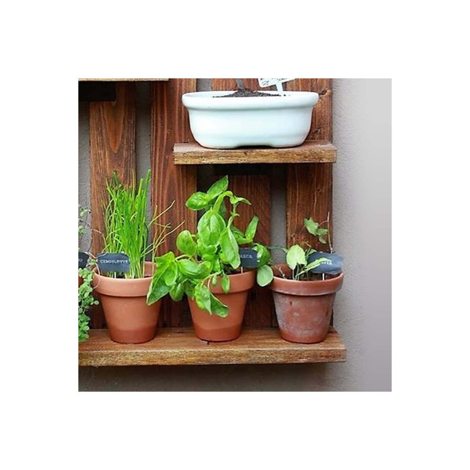 Woodesk Masif Ağaç Meşe Rengi 50 x 40 cm Duvar Saksı Rafı Fiyatı Woodesk Masif Ağaç Meşe Rengi 50 x 40 cm Duvar Saksı Rafı Fiyatı