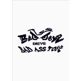Başaran Sticker Bad Boys Araba Arma Sticker