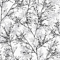 Dekor Harmony 160 D Siyah Dal Desenli Duvar Kagidi Fiyati