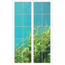 Renkselart Pencere Deniz Dibi Bitki Duvar Sticker