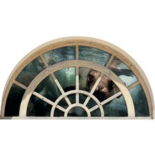 Renkselart Pencere Fok Duvar Sticker