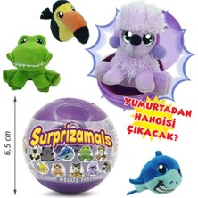 Surprizamals Sürpriz Yumurta Seri 5