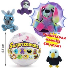 Surprizamals Sürpriz Yumurta Seri 6