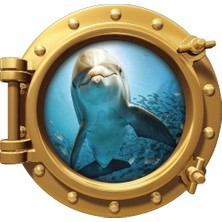 Renkselart Gemi Denizaltı Pencere Yunus Duvar Sticker