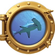 Renkselart Gemi Denizaltı Pencere Çekiç Balığı Duvar Sticker