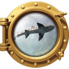 Renkselart Gemi Denizaltı Pencere Köpek Balığı Duvar Sticker