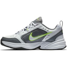 Nike Air Monarch İv Erkek Ayakkabı 415445-100