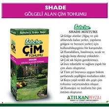 İthal Bahche Gölgeli Alan Çim Tohumu