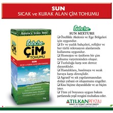 İthal Bahche Sıcak Ve Kurak Alan Çim Tohumu