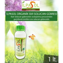 İlpasol® Sıvı Solucan Gübresi 1Litre