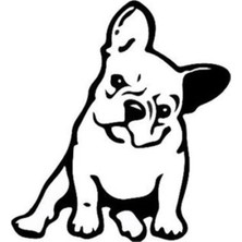 Areksan Pug Köpek Sticker