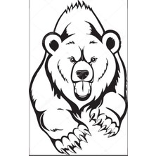 Areksan Sinirli Ayı Duvar Sticker 50 cm