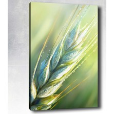 Tablocenter Çiçek Kanvas Tablo 30 x 40 cm