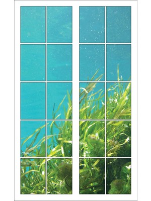 Renkselart Pencere Deniz Dibi Bitki Duvar Sticker