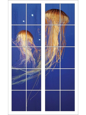Renkselart Pencere Deniz Anası Akvaryum Deniz Dibi Duvar Sticker