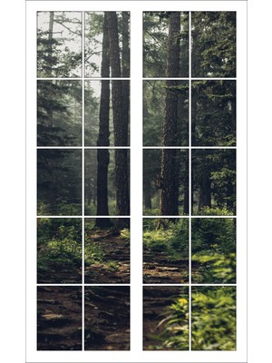 Renkselart Pencere Orman Ağaçlar Duvar Sticker