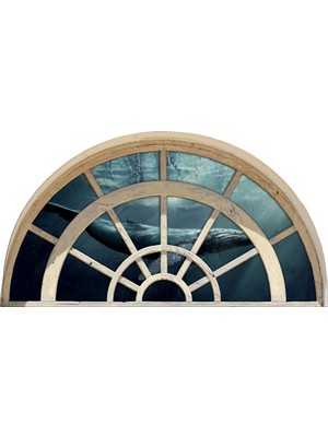 Renkselart Pencere Balina Duvar Sticker