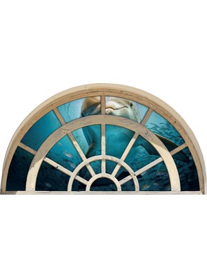 Renkselart Pencere Yunus Duvar Sticker