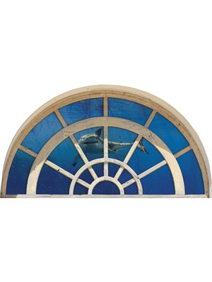 Renkselart Pencere Köpek Balığı Duvar Sticker