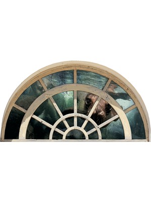 Renkselart Pencere Fok Duvar Sticker