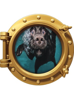 Renkselart Gemi Denizaltı Pencere Köpek Duvar Sticker