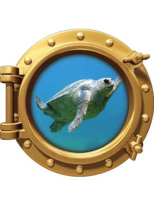 Renkselart Gemi Denizaltı Pencere Deniz Kaplumbağası Duvar Sticker