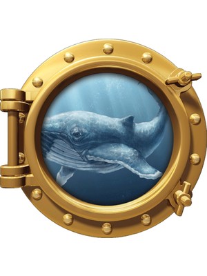 Renkselart Gemi Denizaltı Pencere Kambur Balina Duvar Sticker
