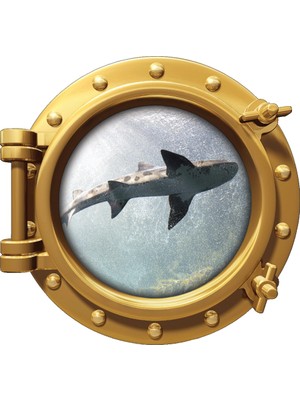 Renkselart Gemi Denizaltı Pencere Köpek Balığı Duvar Sticker