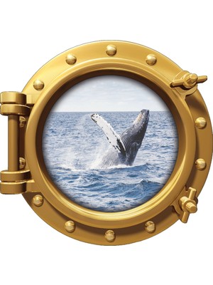 Renkselart Gemi Denizaltı Pencere Balina Deniz Duvar Sticker