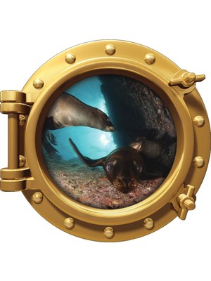 Renkselart Gemi Denizaltı Pencere Fok Duvar Sticker