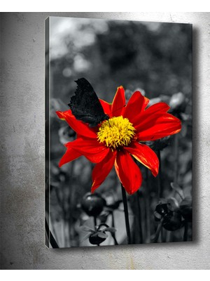 Tablocenter Çiçek Kanvas Tablo 30 x 40 cm
