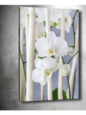 Tablocenter Çiçek Kanvas Tablo 30 x 40 cm