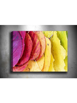 Tablocenter Çiçek Kanvas Tablo 30 x 40 cm