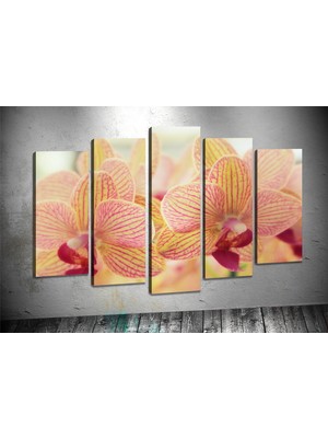 Tablocenter 5 Parçalı Çiçek Kanvas Tablo 60 x 100 cm
