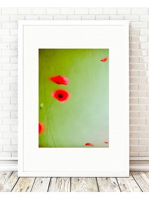 Tablo center Beyaz Çerçeveli Tablo - 24x29cm