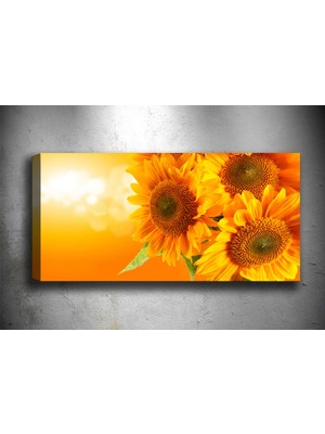 Tablocenter Çiçek Kanvas Tablo 30 x 90 cm