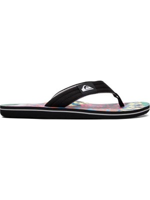 Quiksilver Erkek Terlik Molokai Layback M Sndl Xkbg Aqyl1007