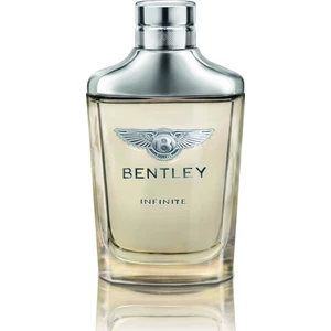 Infinite EDT 100 Ml Erkek Parfümü