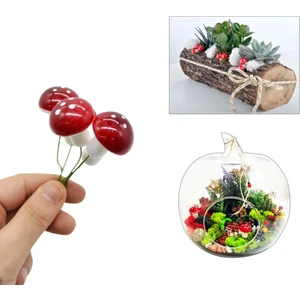 50li Köpük Mantar Teraryum Süsü Kırmızı