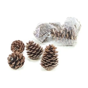 Yılbaşı Süsü Kozalak Paket 10 lu