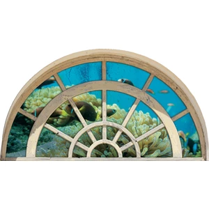 Pencere Mercan Balık Duvar Sticker