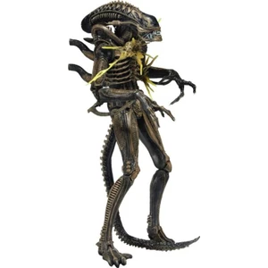 Aliens: Brown Battle Damaged Xenomorph Figure Series 12