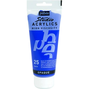 831*25 Akrilik Studio Boya 100 Ml No:25